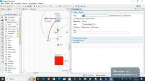 Школьный проект по грибам 8 (1)