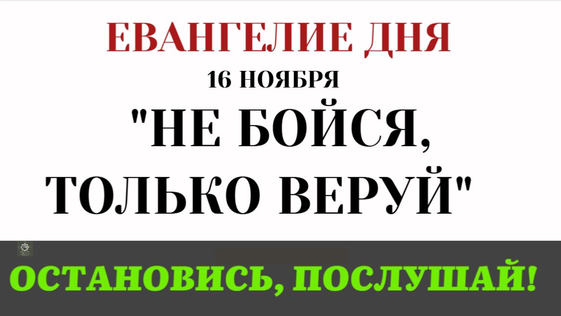 16 ноября Евангелие дня Не бойся, только веруй! Как Христос воскресил дочь Иаира (Лк 8 41-56)