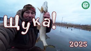 ПЕРВЫЙ ЛЁД 2025! ЩУКА НА ЖЕРЛИЦЫ, РЕАКЦИЯ ЩУКИ НА ЖИВЦА, ПОДВОДНЫЕ СЪЁМКИ, РЫБАЛКА У ДОМА НА УРАЛЕ!