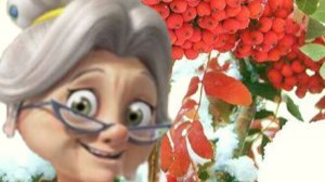 Салаты за 10 минут