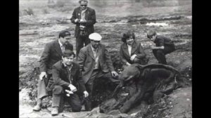 Зоологический музей