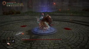 ELDEN RING - Рыцарь Горнила - хитбоксы.