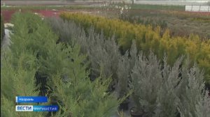 В Ингушетии для школьников организовали уроки в теплицах и питомниках