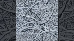 Выпал снег.