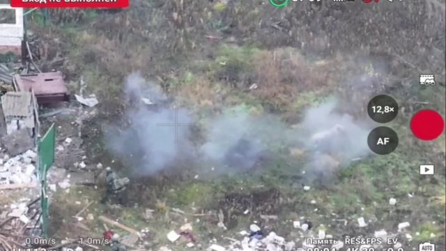 Свинья, подорвавшись на мине, спасает штурмовиков ВС РФ