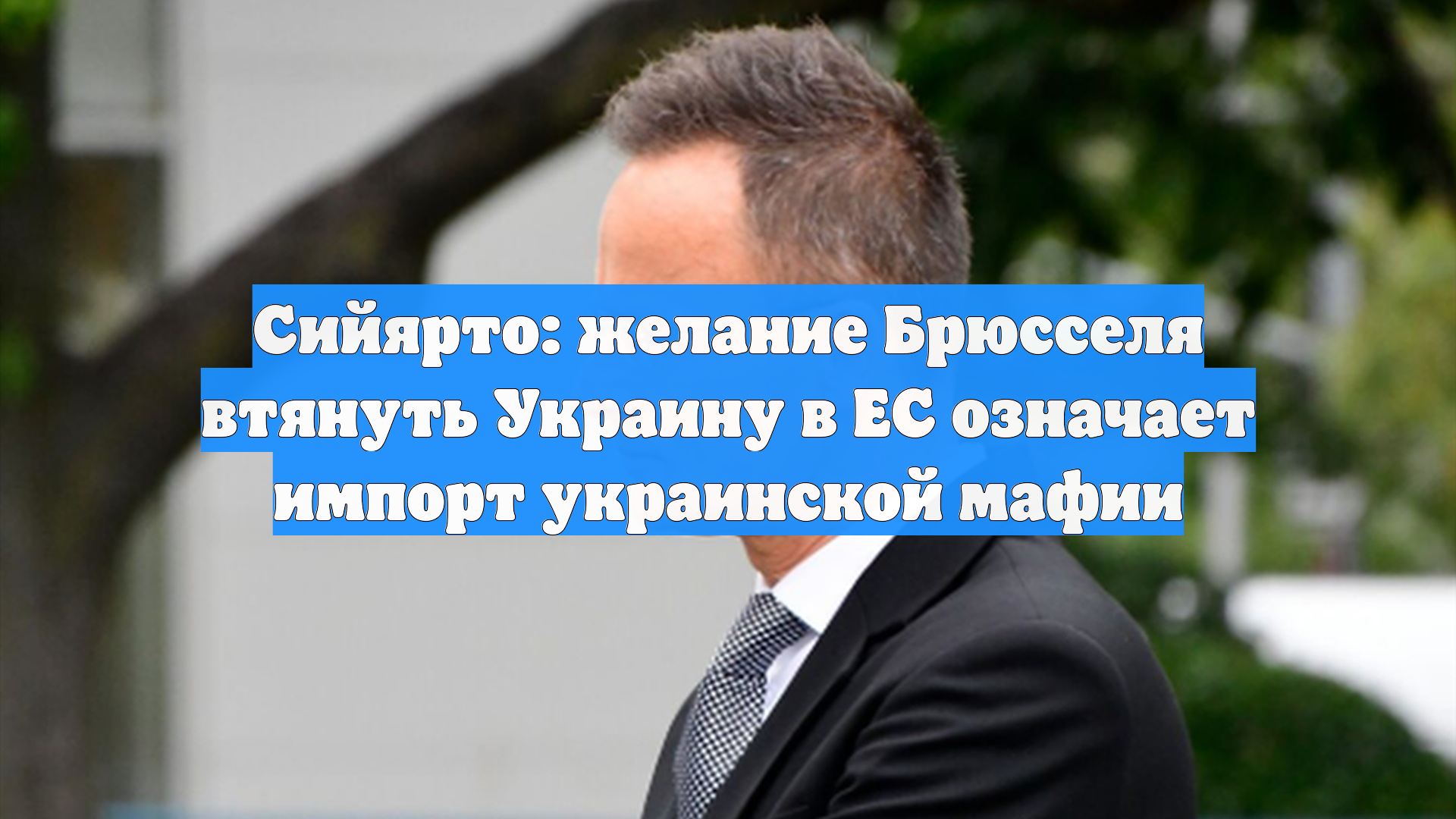 Сийярто: желание Брюсселя втянуть Украину в ЕС означает импорт украинской мафии
