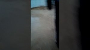 фильм опасная волга 3 серия