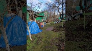 ДЕНЬ ВЧЕРАШНИЙ 14 НОЯБРЯ ,ЛЕН.ОБЛ