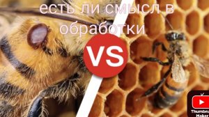 15-11-2025 опять эти вопросы по борьбе с клещем