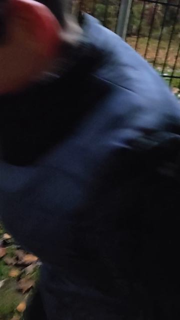 голубь смотреть онлайн