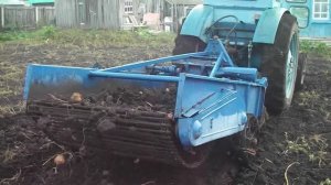 Уборка картофеля. Т-40. Картофелекопалка КТН-2В.