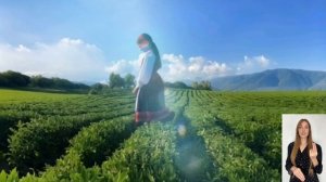 Анна Пивоварова - Какое утро читает София Пивоварова - нейромелодекламация