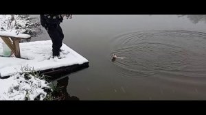 Светлые Горы Щука 15.11.2025г.