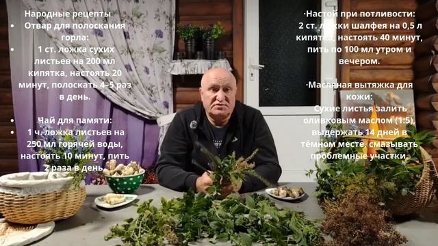 “Священные конкуренты фармакологии ” Авторский  канал Игоря Верещаги.