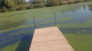 Лодочная станция