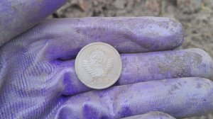 Лесной коп в завершении  сезона 2025г.