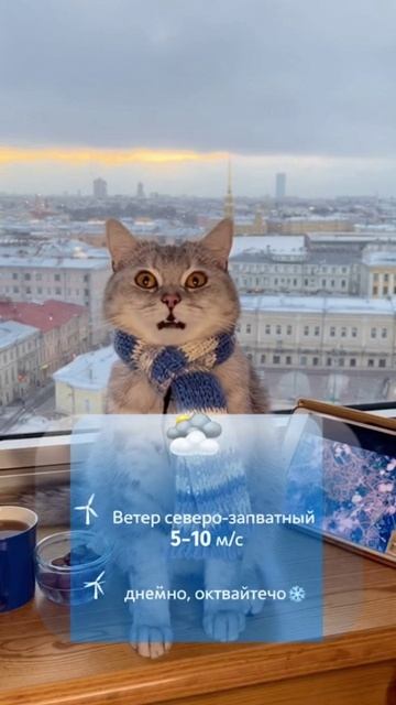 Прогноз погоды в Санкт-Петербурге на 15.11.2025