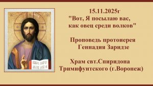 15.11.2025г "Вот, Я посылаю вас, как овец среди волков" Проповедь протоиерея Геннадия Заридзе.