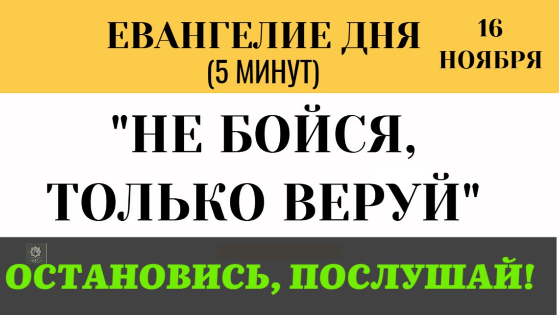 16 ноября Евангелие дня Не бойся, только веруй! Как Христос воскресил дочь Иаира (Лк 8 41-56)