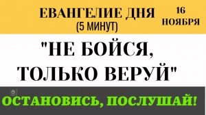 16 ноября Евангелие дня Не бойся, только веруй! Как Христос воскресил дочь Иаира (Лк 8 41-56)