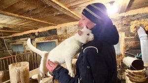 Он вообще обнаглел🤔Я Ревную,Приходил Слепой Кот искал покушать,В город в магазин