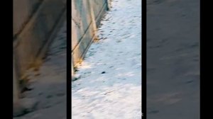 Моя пробежка по парку. Самолёт летит. Лыжники тренируются.