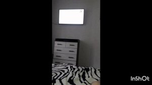 заставки пёс и ко, 2025-2018