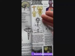 Путешествие к высшему  Я Полное руководство по книге мудрости