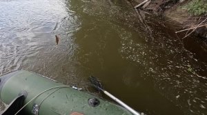 🎣ПОКА БРОДЯГА🎣fishing#туризм#природа#ловля#рыбалка#щука#ловлящуки#ночевка#Чулым#река#спиннинг