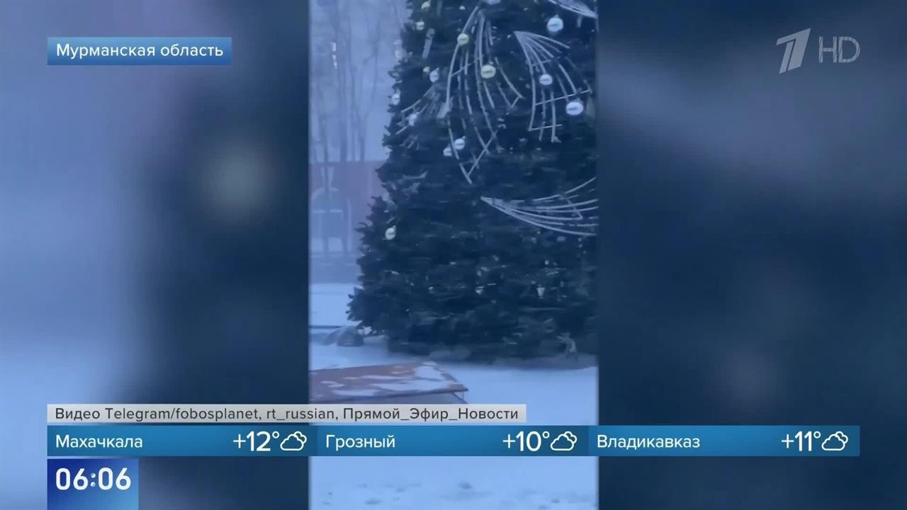 Елки падают: опубликованы кадры последствий метели в Мурманской области.
