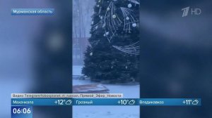 Елки падают: опубликованы кадры последствий метели в Мурманской области.