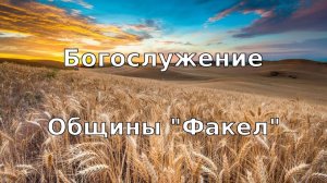 Зубач А.В. HASD Fakel 15.11.2025.