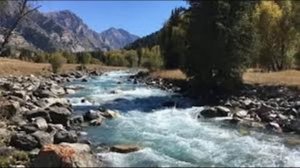 video_9608955497054.mp4