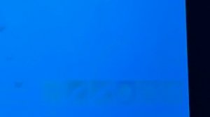 Выгорание (следы интерфейса игры) на  LG OLED C2