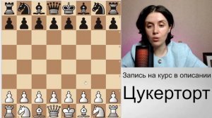 Дебют для ленивых! Старт 24 ноября