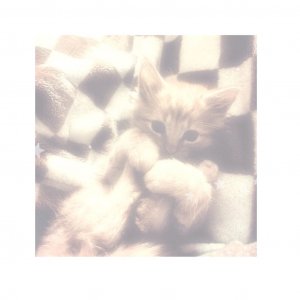 карапузики