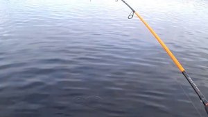 Наконец то поймал ЩУКАРЯ!! 😂😂 Карелия!! Юшкозеро 2023!!..