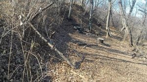 15.11 разминочка тропа Ирокезов