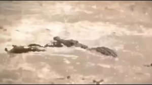 Ситуации с грузовиками..На дорогах МИРА..