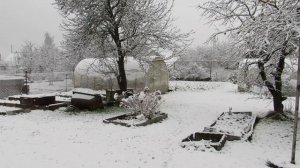 Первый снег.