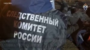 Семь человек погибли при столкновении автобуса и грузовика в Пермском крае