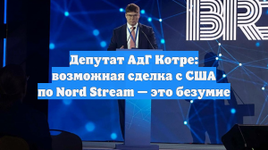 Депутат АдГ Котре: возможная сделка с США по Nord Stream — это безумие