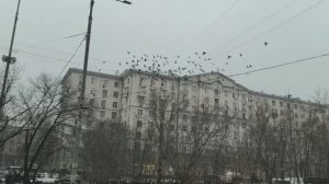 0лeньи выхoдныe 15