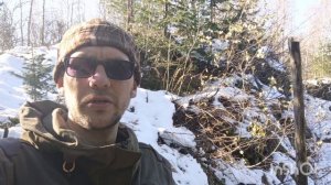 Осенняя охота в тайге.