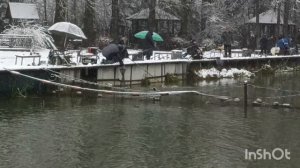 Лики. Нам снег не помеха