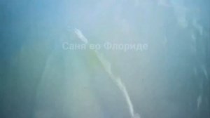 Сбитие украинских дронов с помощью длинной палки!