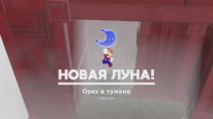 Орех в тумане