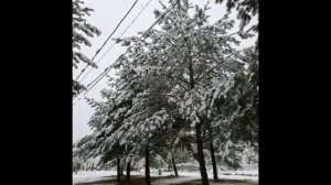 Середина ноября.Начало зимы.Первый снег..mp4