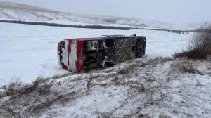 Автобус с рабочими опрокинулся после встречи с рогатым скотом в Забайкалье: кадры