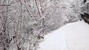 Вернись сейчас